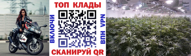 Купить наркоту Нюрба ГАШ Бошки Шишки Cocaine Мефедрон