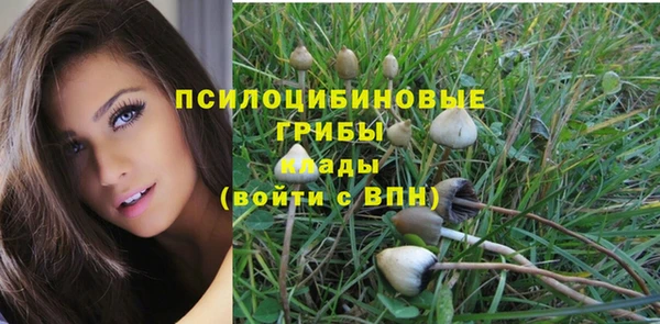 ГАЛЛЮЦИНОГЕННЫЕ ГРИБЫ Аркадак