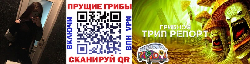 Галлюциногенные грибы Psilocybe Нюрба